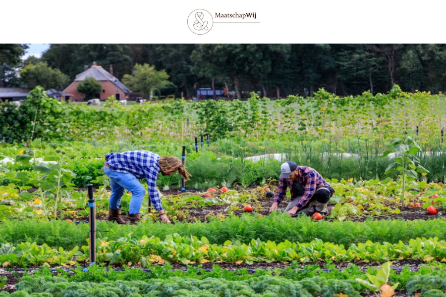 new financial forum (5)