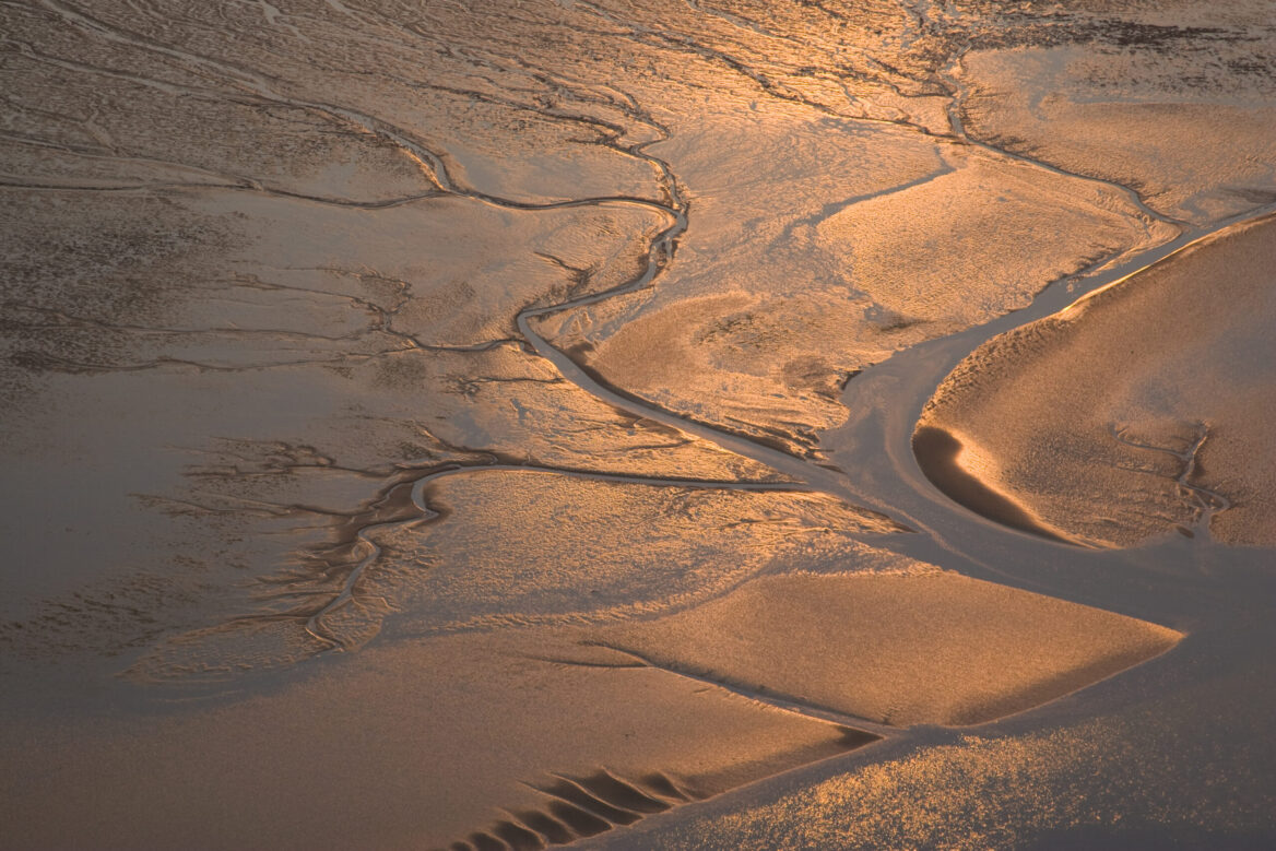 002_TidalflatCreek-(©CWSS-Martin Stock)