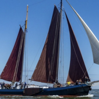 Schip